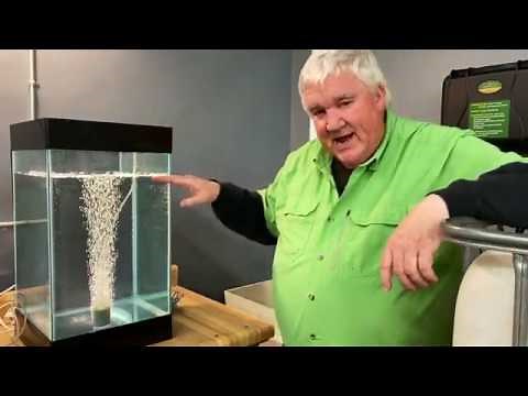 What Makes O2 Grow Special?