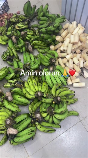 Aisha Omo Baba Tapa: Recent Highlights and Insights