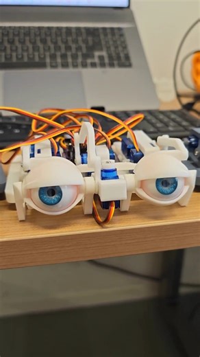 ROBOTIC Eyes Are Watching You Now