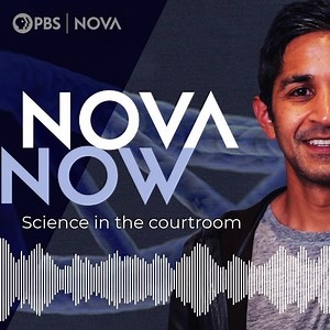 4.6K views · 32 reactions | With confirmation hearings set to begin for Judge Amy Coney Barrett to join the Supreme Court, we ask the question that senators probably won’t: Do judges also need to be scientists? Listen to our latest episode of the NOVA Now podcast to learn more: https://apple.co/3jDC0jT | NOVA l PBS | Facebook