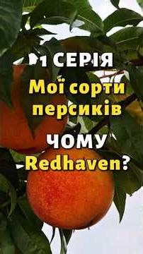 🍑 How do I choose peach varieties for my garden?