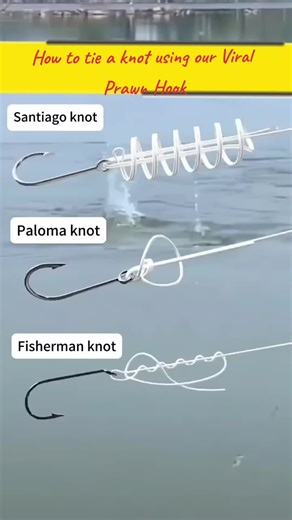 Live Shrimp Hook Tip for Fishing Enthusiasts