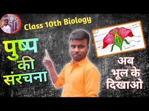 Board Exam 2026 | pushp ki sanrachna in Hindi | Structure of Flower | Neet Biology