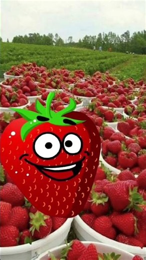 strawberry.
