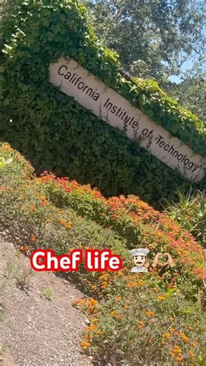 Cooking today in #caltech 🫡👨🏻‍🍳 #food #chefcali