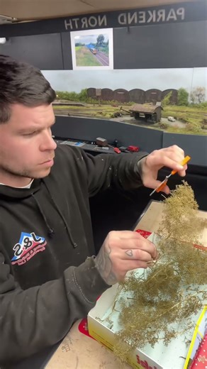 Trimming my bush #modelrailway #fyp #oogauge #fok