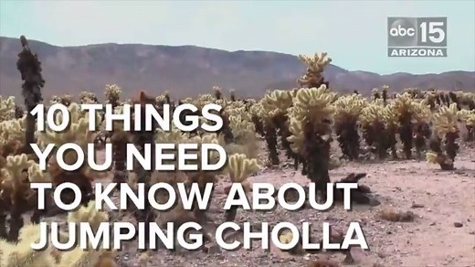 1.2M views · 10K reactions | If you get too close...a segment will...