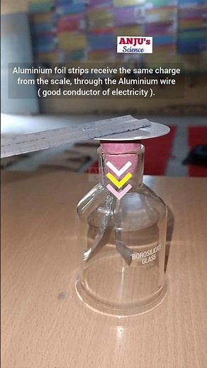 Electroscope Working || विद्युत दर्शी || Activity 15.4 Class 8 Science #shorts