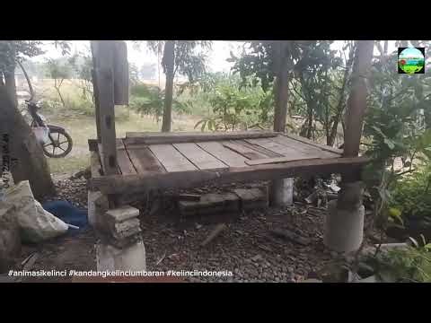 DIY Rabbit Free-Range Hutch Build — Outdoor Bunny Enclosure | Rabbit Care & Enrichment Guide