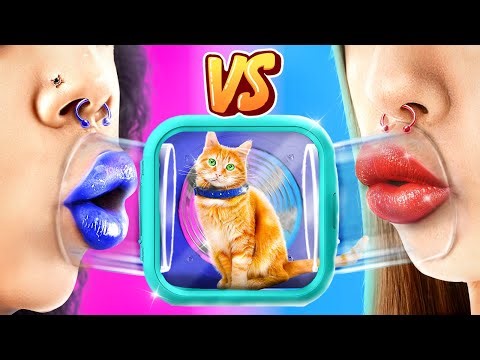 賢いペットオーナー向け！お手頃価格のガジェット！小さなネコを引き取った！