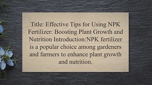 Effective Tips for Using NPK Fertilizer