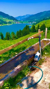 23K views · 129K reactions | BEAUTIFUL SWISS NATURE #swiss #switzerland #visitswitzerland #myswitzerland #swissalps | syifa_in_switzerland | Facebook