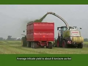 Triple cropping Triticale, Sorghum-Sudan and Alfalfa, Dutch Meadows Dairy