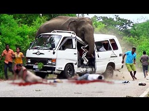 Shocking Wild Elephant Attacks on Road 😱 #elephantattack #elephant