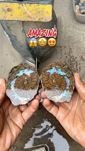 Lapidary