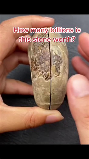 Identifying Fossils Through Crystal Healing: A Comprehensive Guide