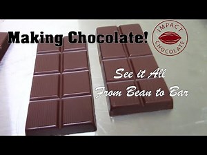 From Bean to Bar: How to Make Chocolate!