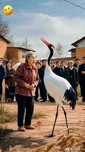 Wait for end 😂 #viralvideo #funny #comedy #explore | Real Manjeet