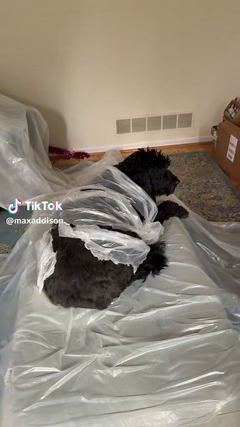 tonight’s the night.