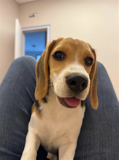 Os vídeos de isams (@isams_souza) com Part of Your World (Reprise) - From