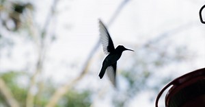 Video by Kelly     on Pexels