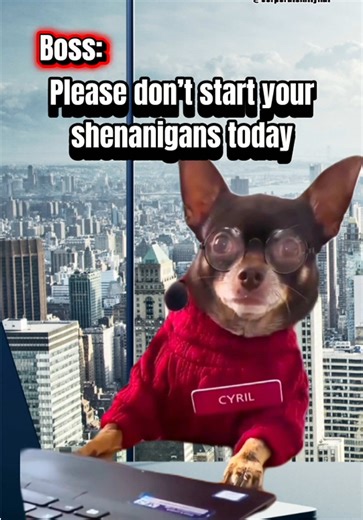 Hilarious Office Shenanigans with Coworkers