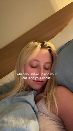 Savannah Cat and Garfield Enjoying Some Coke on TikTok