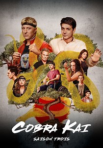 Saison 3 Cobra Kai streaming: où regarder les épisodes?