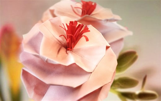 折纸Vlog｜山茶花 Origami S camellia #014