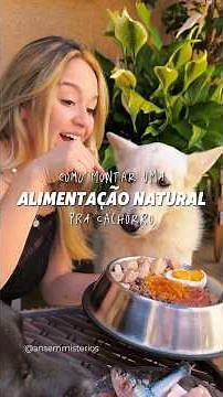 Como montar uma alimentação natural para cachorro #pets #receitaparacachorro #cachorro