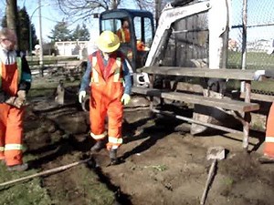 Bobcat 430 zhs Mini Excavator