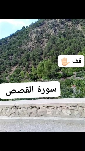 #سورةالقصص | Om Mohamad