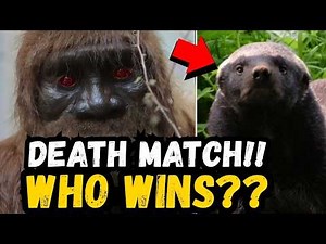🚨 BREAKING: HONEY BADGER vs FLORIDA'S SKUNK APE - Who Wins This EPIC Battle?