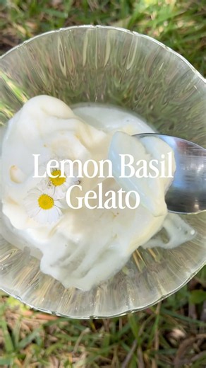 how to: lemon gelato🍋🧺🍨 #aestheticfood #foodasmr #veganrecipes #gelato