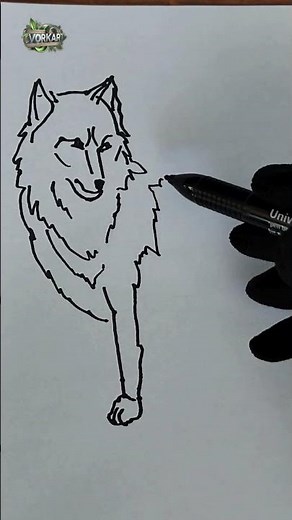 How to Draw a Cute Wolf 🐺 Easy Drawing Short