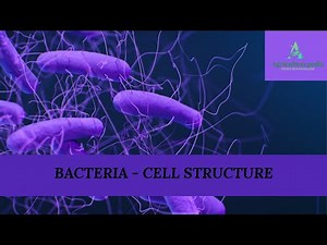 AGRICULTURAL MICROBIOLOGY| BACTERIA:CELL STRUCTURE| BSC AGRICULTURE