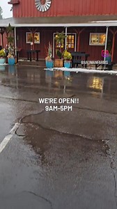 2K views · 116 reactions | And we're back! We cannot wait to see you today; the parking lot is clear, and we're working hard to spruce up the place after that crazy ice storm. Open 9am-5pm. . . . #baumanfarms #oregonfarm | Bauman's Farm and Garden | Facebook