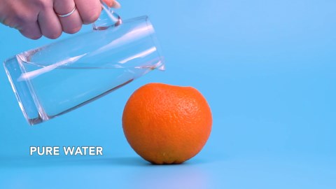 Fun Science Experiments You Can Try