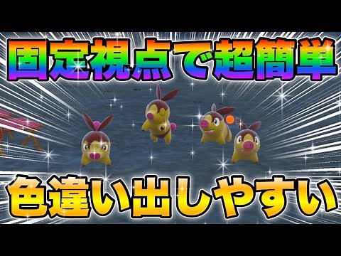 【ポケモンsv厳選】色違いポカブの効率的な入手方法！