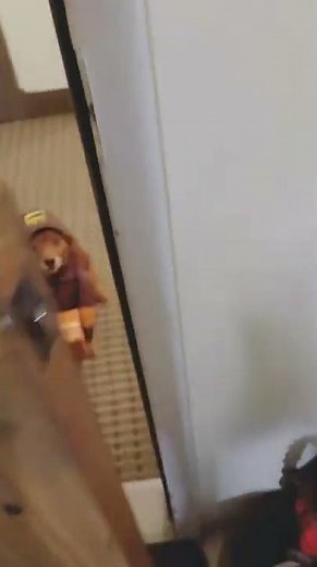 Doorbell Sound Effect