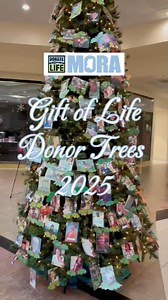Thank you to the many donor families and loved ones, volunteers, recipients, staff, and partners who joined us at this year's Gift of Life Donor Trees at four locations across Mississippi. Each photograph has been placed with special care. Every person whose photograph adorns the branches and so many more selfless donors gave the gift of life as an organ, tissue, and/or eye donor. Because of these generous decisions to donate in the wake of a great loss, other families are still together and the