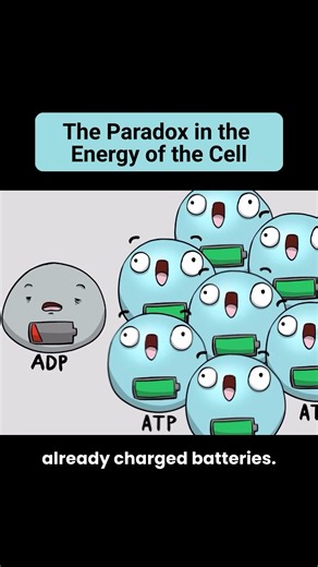 4K views · 524 reactions | Here’s another paradox that Darwinian evolution has to face. How could all of the elements outlined in the video evolve over time? They had to be there all at once which means they had to already there so they can work together. Thoughts? . . . . #intelligentdesign #biologystudent #biologyislife #scienceiscool #scienceandfaith #apologetics | Center for Science & Culture | Facebook