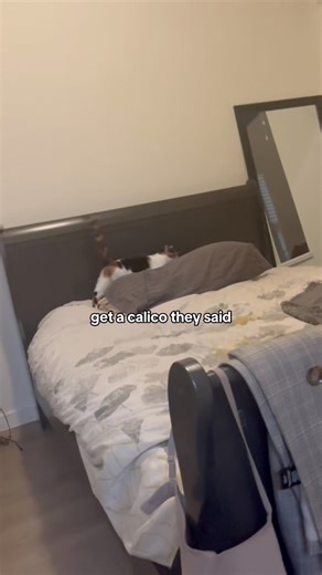 Idk where she got it from | Chelsea’s World