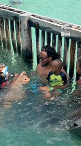 Well, that's kinda rude 😭😂 | Dad Jokes