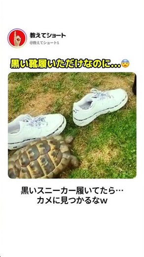 黒い靴履いただけなのに…😨