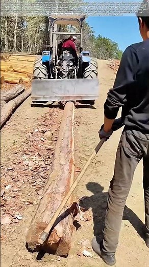 Peeling with Power: How a Tractor Blade Reveals Perfect Timber