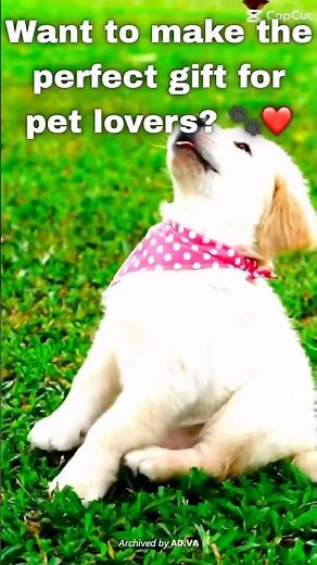 The Best Crochet Gift For All Pet Lovers | Free Paw Print Afghan Tutorial
