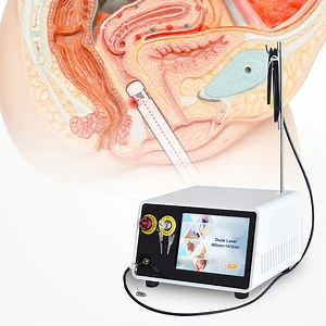 [Hot Item] Vaginal Tightening Treatment Diode Laser1470nm Gynecology Vaginal Rejuvenation