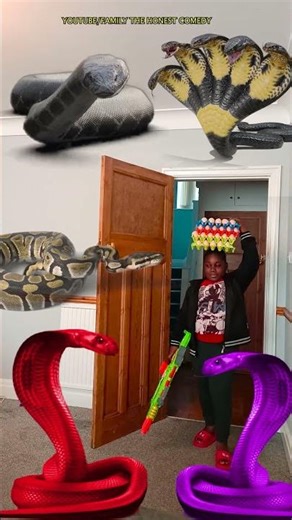 Animal funny video Anaconda snake python movie in real life bhoot wala #bhojpuri #vfx #shorts 2025