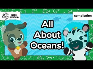 All About Oceans! | Baby Einstein | Learning Show for Toddlers | Kids Cartoons - Videos For Kids